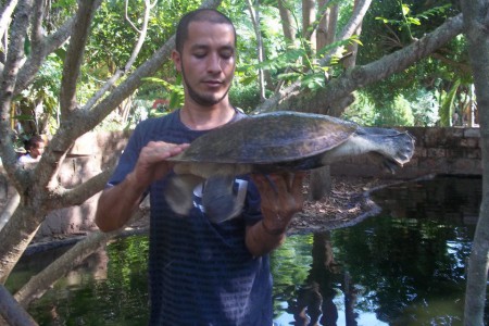 Zoológico Fauna Viva, Tortuga de rio